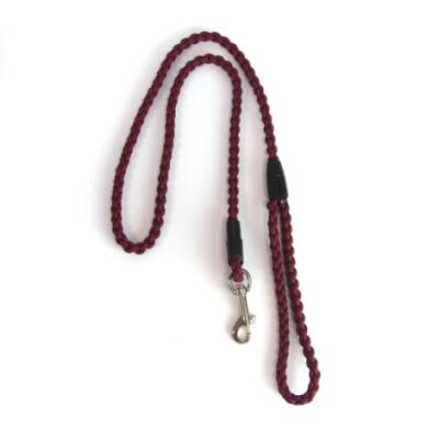 Paracord Braided Dog Lead
