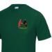 Gym/Training T-Shirt - Green - Presentation of Colours 2021