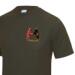 Gym/Training T-Shirt - Olive - Presentation of Colours 2021