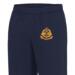 Joggers - Navy - Airborne RMP