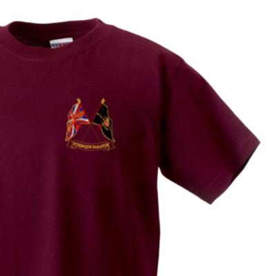 Kids T-Shirt - Maroon - Presentation of Colours 2021