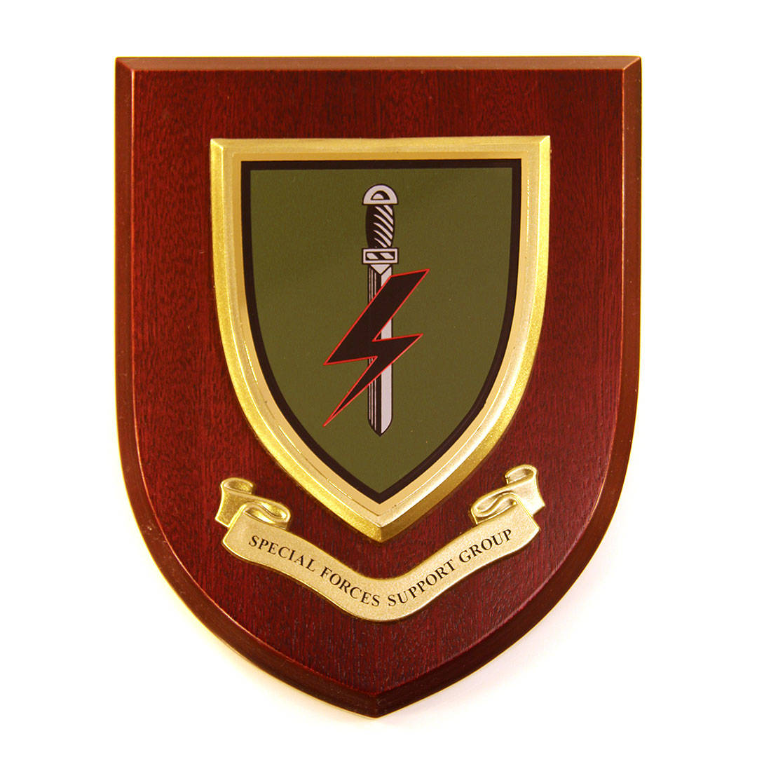 Plaque - Special Forces Support Group