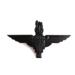 Subdued Parachute Regiment Cap Badge (King's Crown)